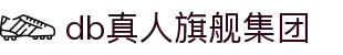 DB真人旗舰·(中国)集团官方网站